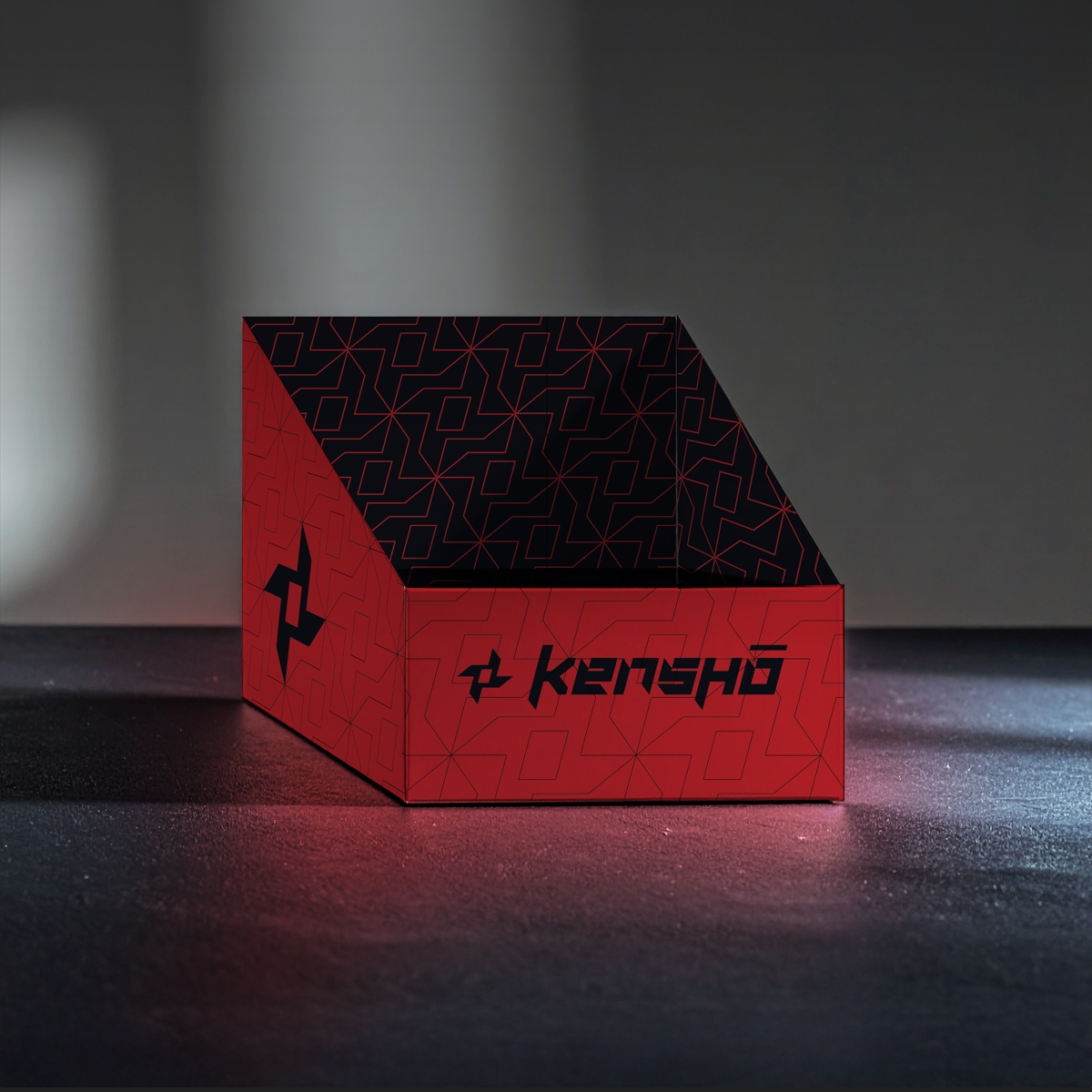 Kensho_1 (7)